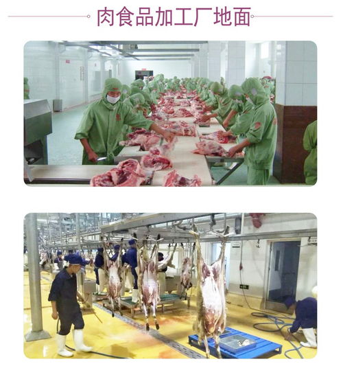 聚氨酯地坪在食品生產(chǎn)加工廠的應(yīng)用特點(diǎn)