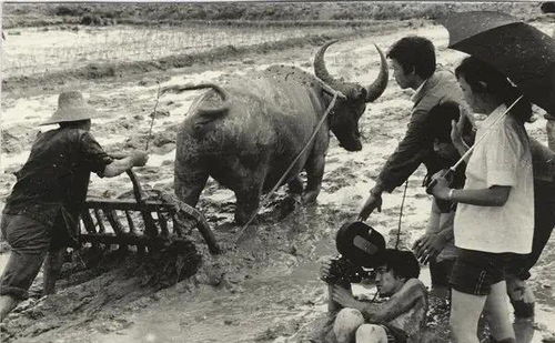 青春祭 沒有什么能夠阻擋，你對(duì)美麗的向往